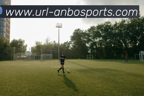 安博体育全站App